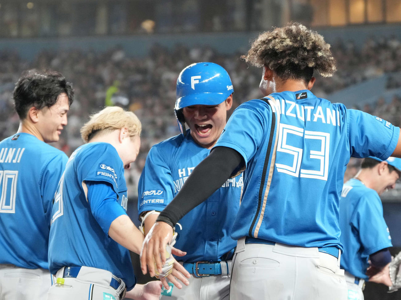ロッテ対日本ハム　7回表日本ハム2死、清宮（中央）は右越えに勝ち越しソロ本塁打を放ちベンチのナインの祝福を受ける（撮影・小沢裕）