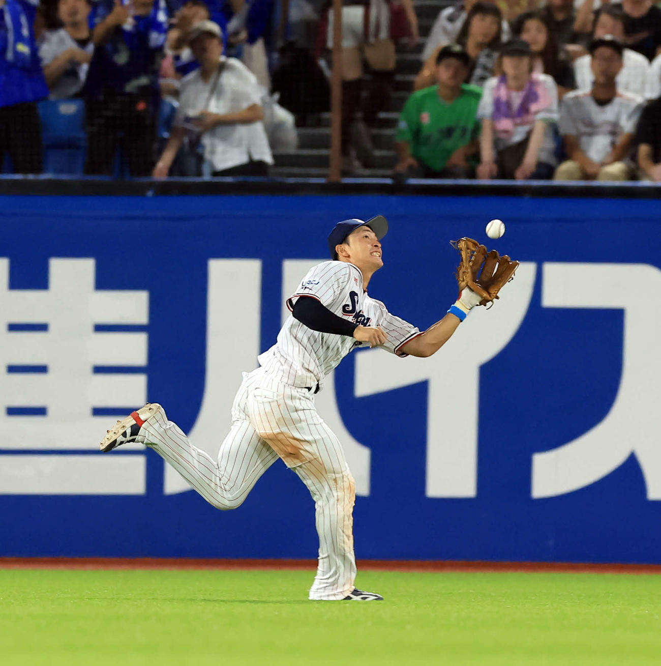 ヤクルト対DeNA 6回表DeNA2死二塁、井上の打球を好捕する宮本（撮影・浅見桂子）