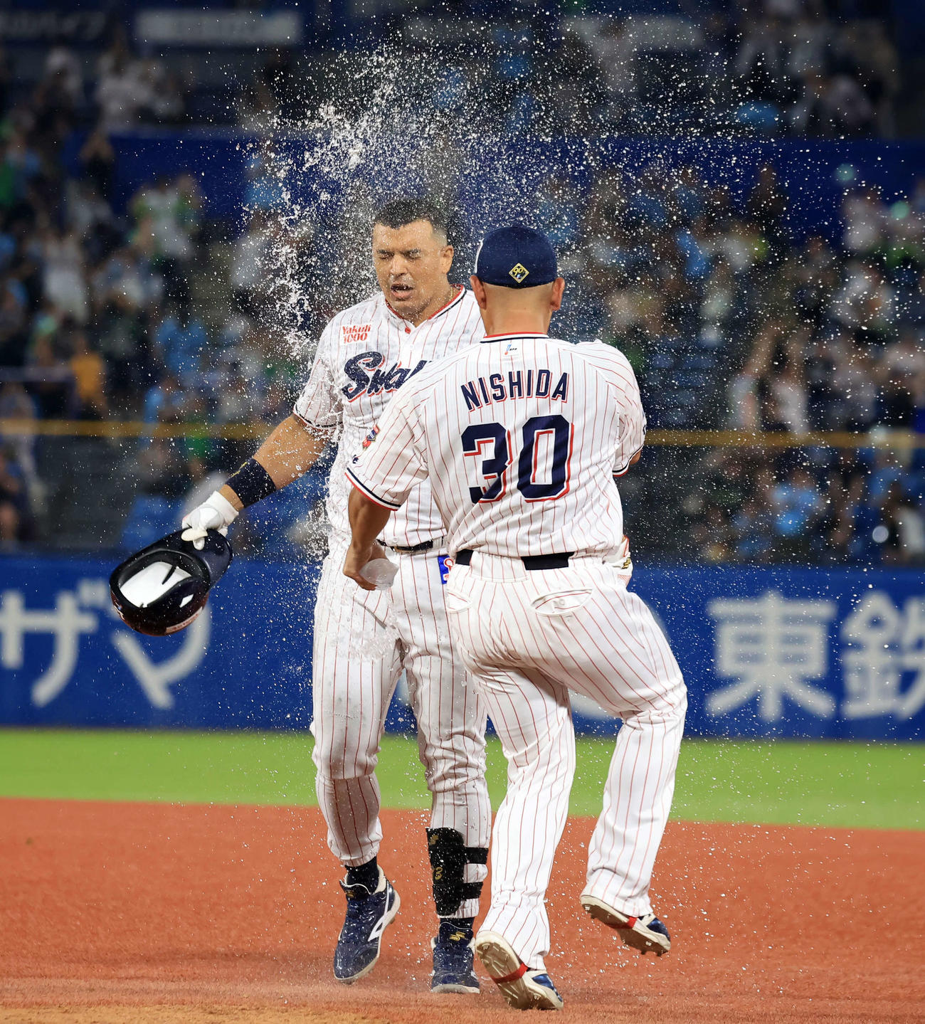 ヤクルト対DeNA 11回裏ヤクルト1死満塁、サヨナラ左適時を放ったオスナは水シャワーの祝福（撮影・浅見桂子）