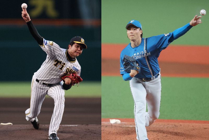 阪神才木浩人ー日本ハム山崎福也