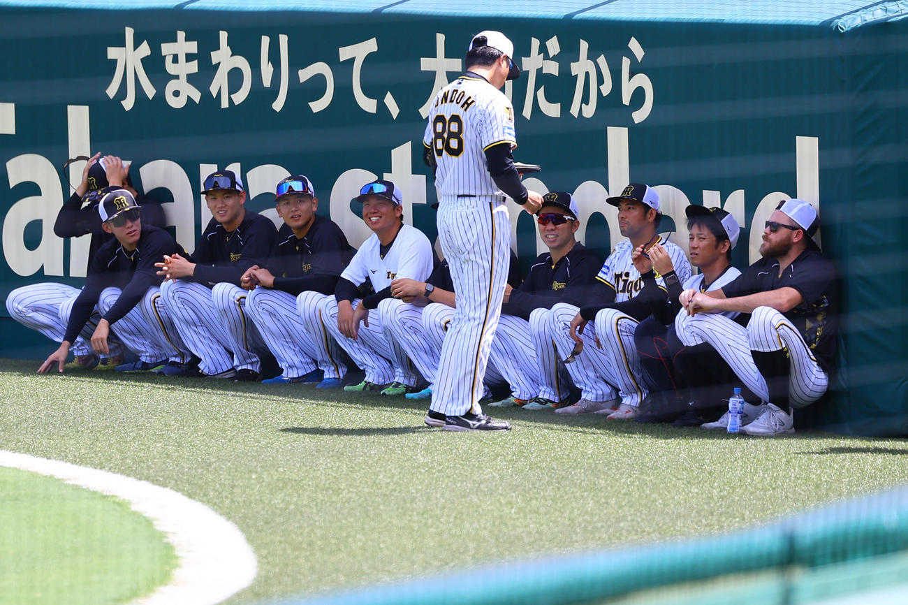 日陰で練習開始を待つ（左から）石黒、富田、及川、岡留、村上ら阪神投手陣（撮影・藤尾明華）