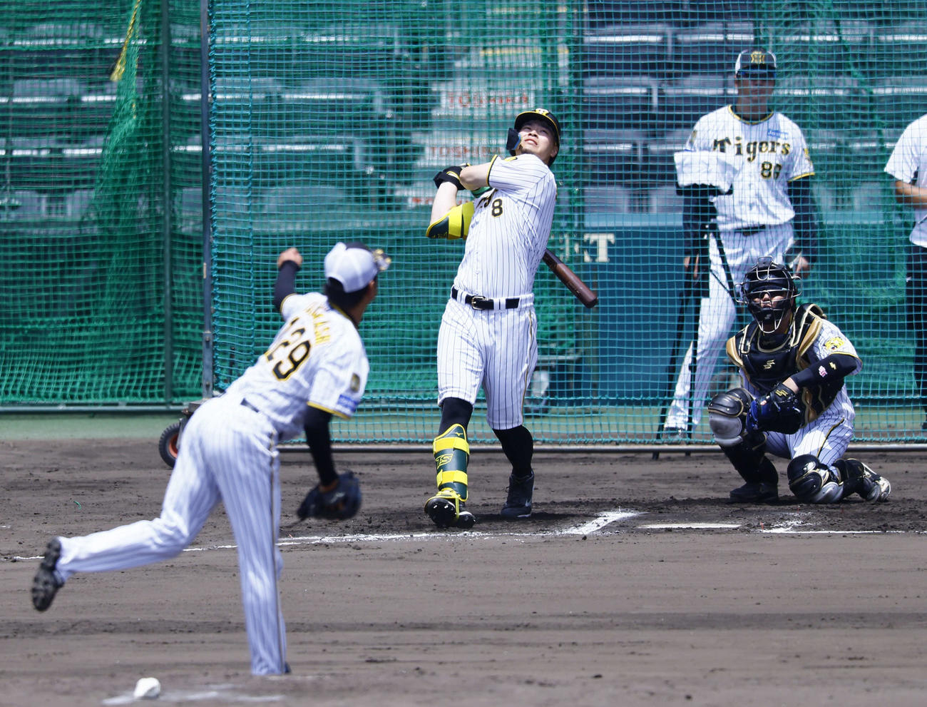 シート打撃で高橋と対戦し左飛に倒れる阪神佐藤輝（撮影・藤尾明華）