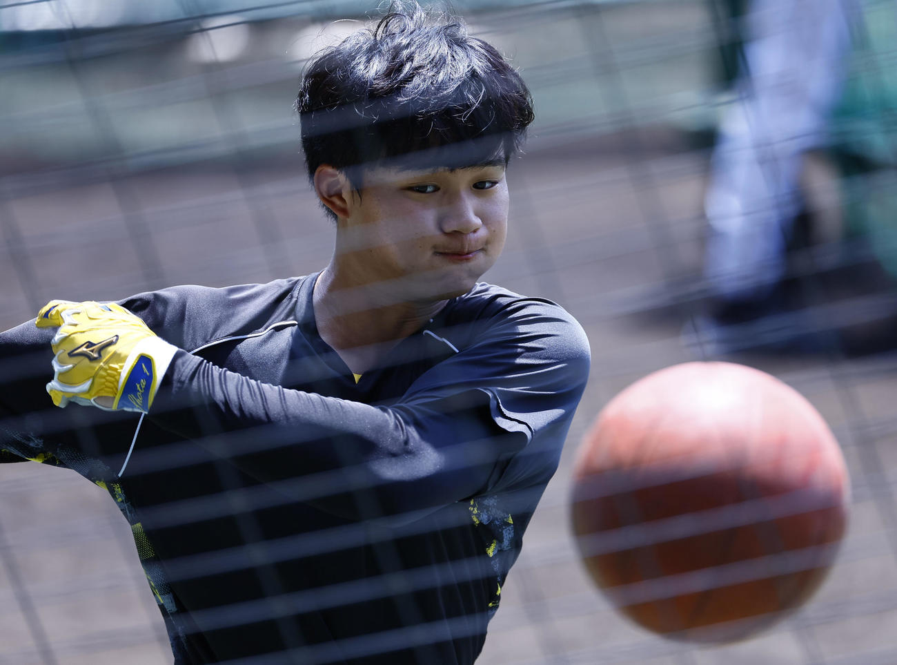 メディシンボールでトレーニングをする阪神森下（撮影・藤尾明華）