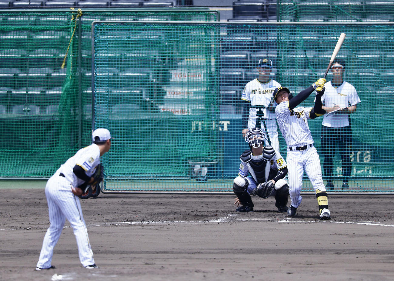 シート打撃で中飛に倒れる阪神森下。投手門別（撮影・藤尾明華）
