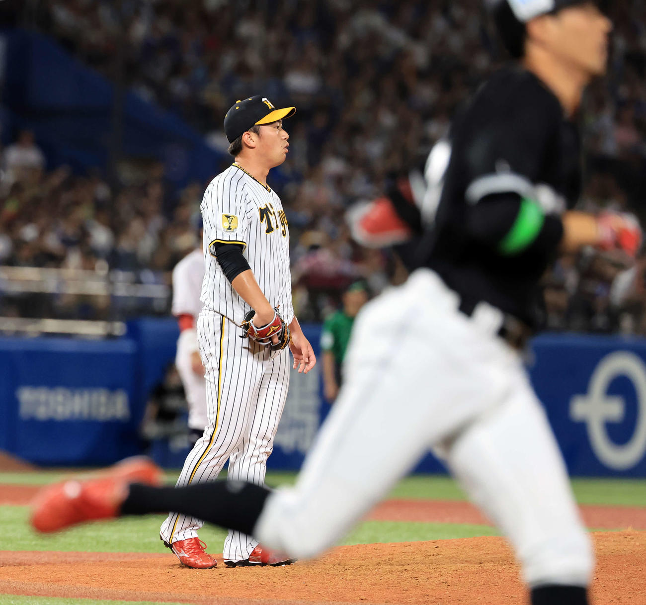 全セ対全パ　7回全パ無死、岡（手前）にソロ本塁打を浴びた桐敷（撮影・浅見桂子）
