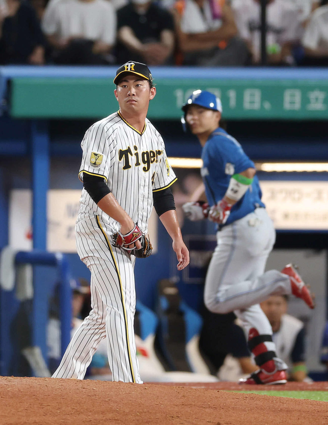 全セ対全パ　7回表全パ2死一塁、日本ハム田宮を遊直に仕留める阪神桐敷（撮影・前田充）