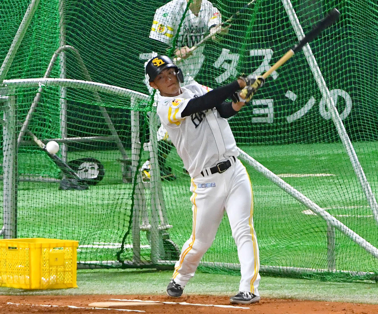打撃練習を行う今宮（撮影・岩下翔太）