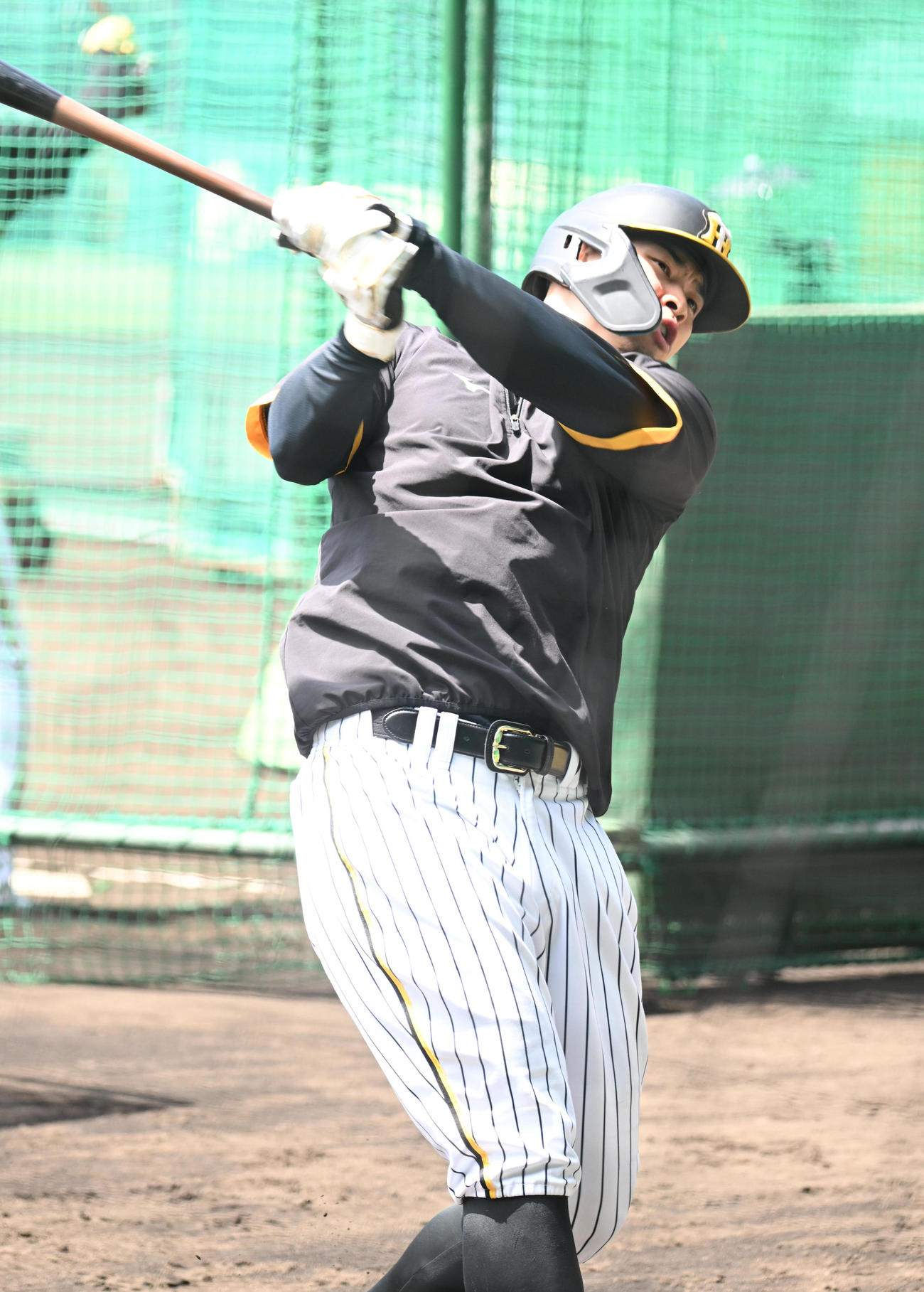 ティー打撃を行う阪神佐藤輝（撮影・和賀正仁）