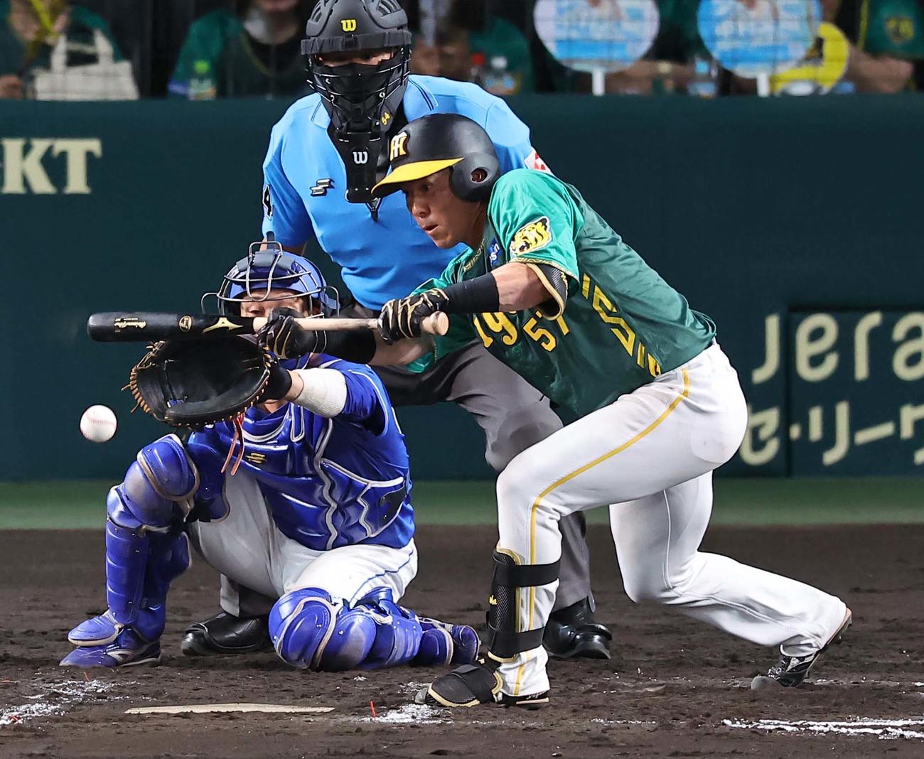 阪神対中日　7回裏阪神無死一塁、長坂は送りバントを決める（撮影・上田博志）