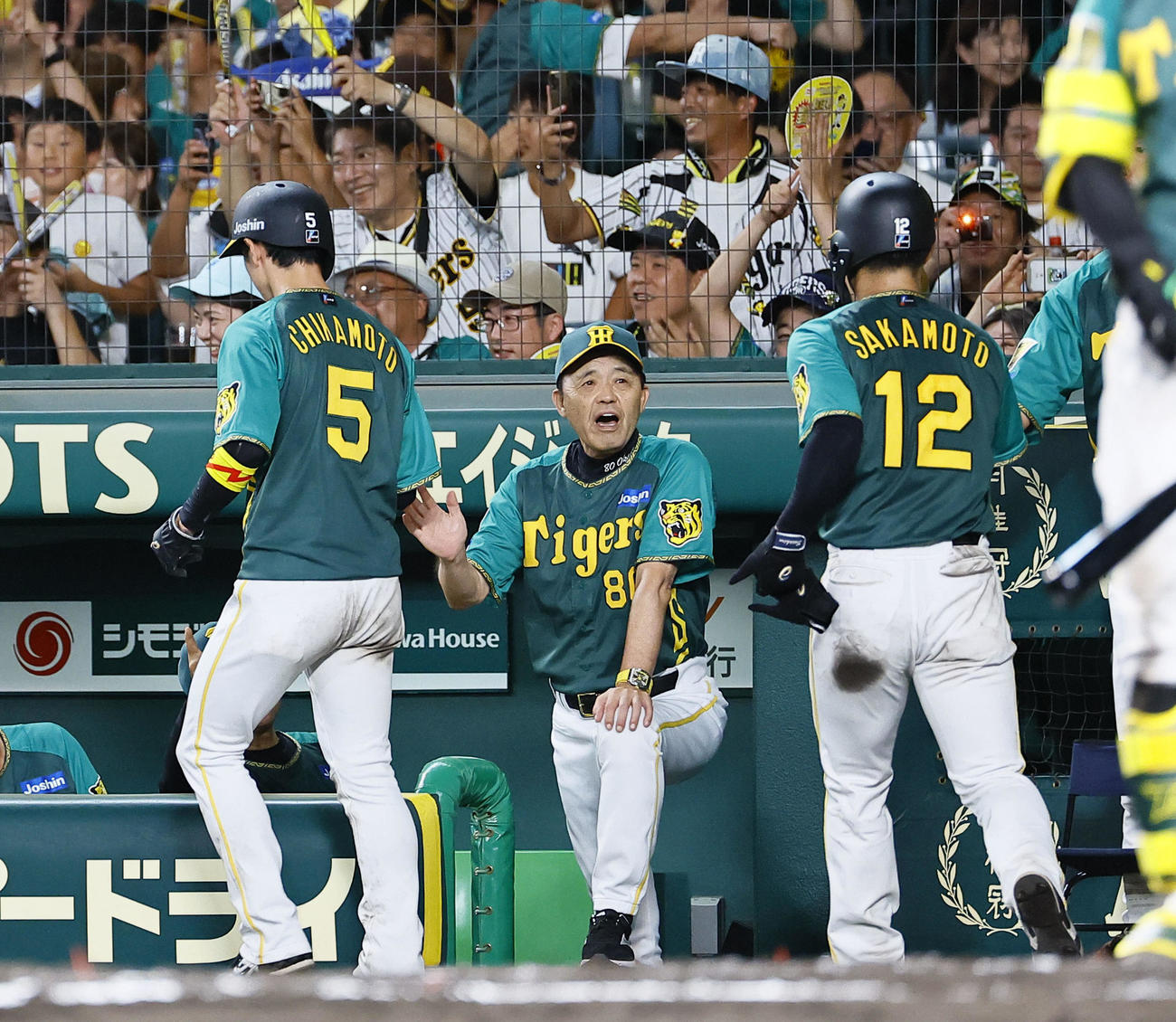阪神対中日　7回裏阪神阪神2死一、二塁、森下の3点本塁打で生還した近本らを出迎える岡田監督（中央）（撮影・藤尾明華）
