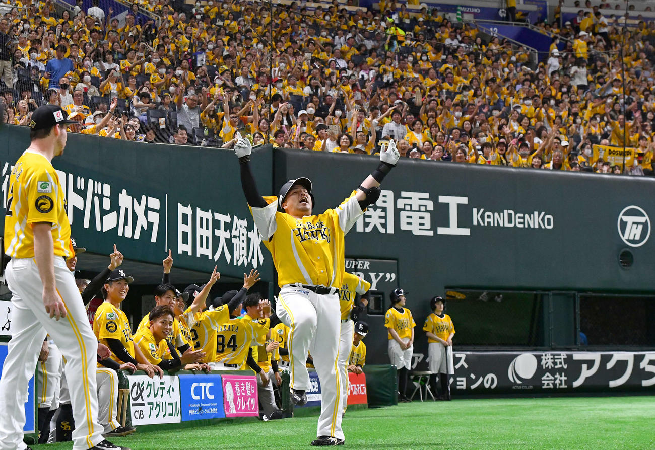 ソフトバンク対オリックス　1回裏ソフトバンク2死一塁、先制の左越え2点本塁打を放ち、「鷹祭　SUMMER BOOST」イベント限定ユニホームで黄色く染まったスタンドを背にどすこいポーズを決める山川（撮影・岩下翔太）