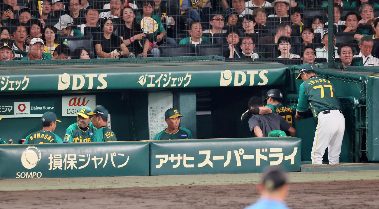 阪神対中日　7回裏阪神2死、前川は空振りで負傷し担がれながらベンチ奥へ引き揚げる。左から2人目は岡田監督（撮影・加藤哉）
