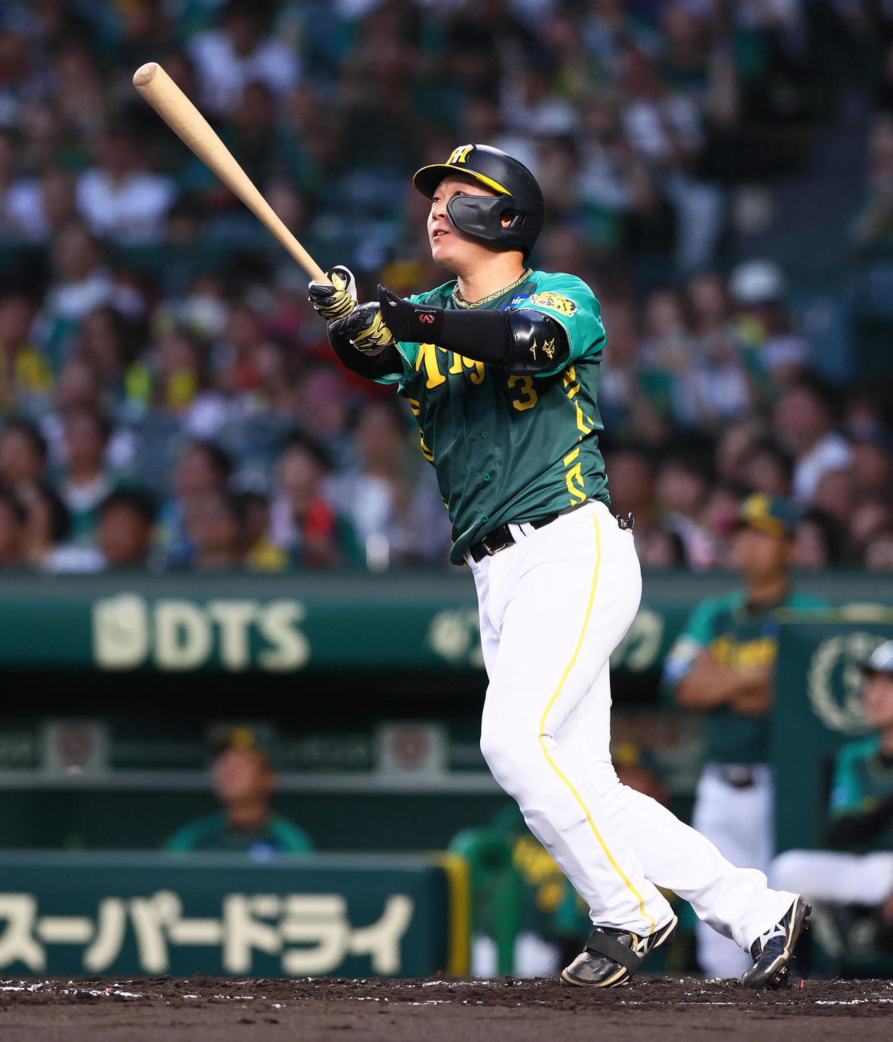 阪神対中日　2回裏阪神無死、大山悠輔は左越えソロ本塁打を放つ（撮影・上山淳一）