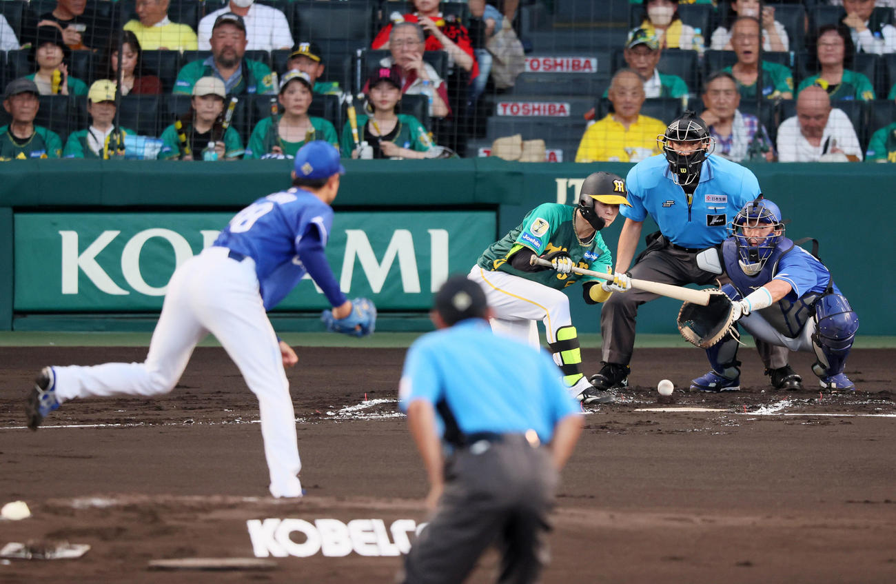 阪神対中日　1回裏阪神無死一塁、中野は投前犠打を決める。投手松葉（撮影・加藤哉）