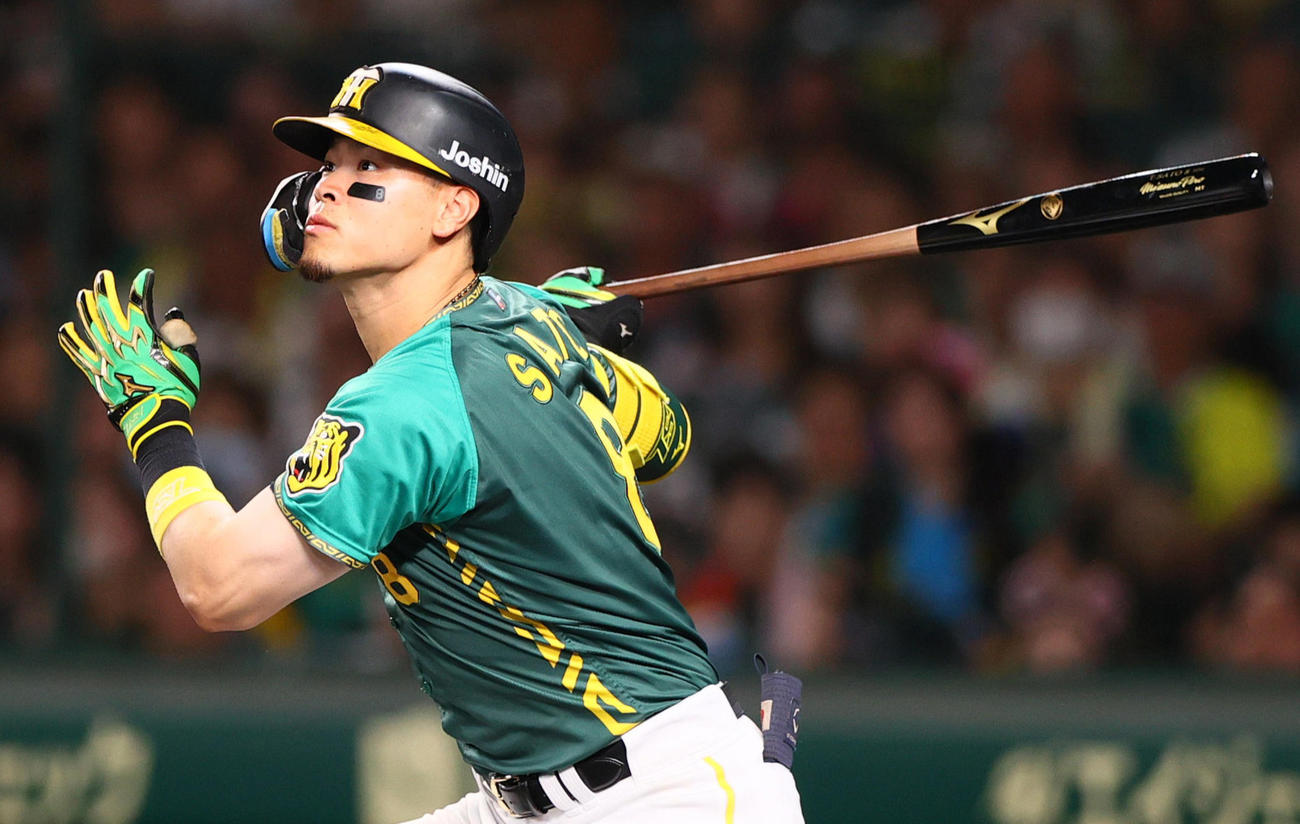 阪神佐藤輝明（2024年7月29日撮影）