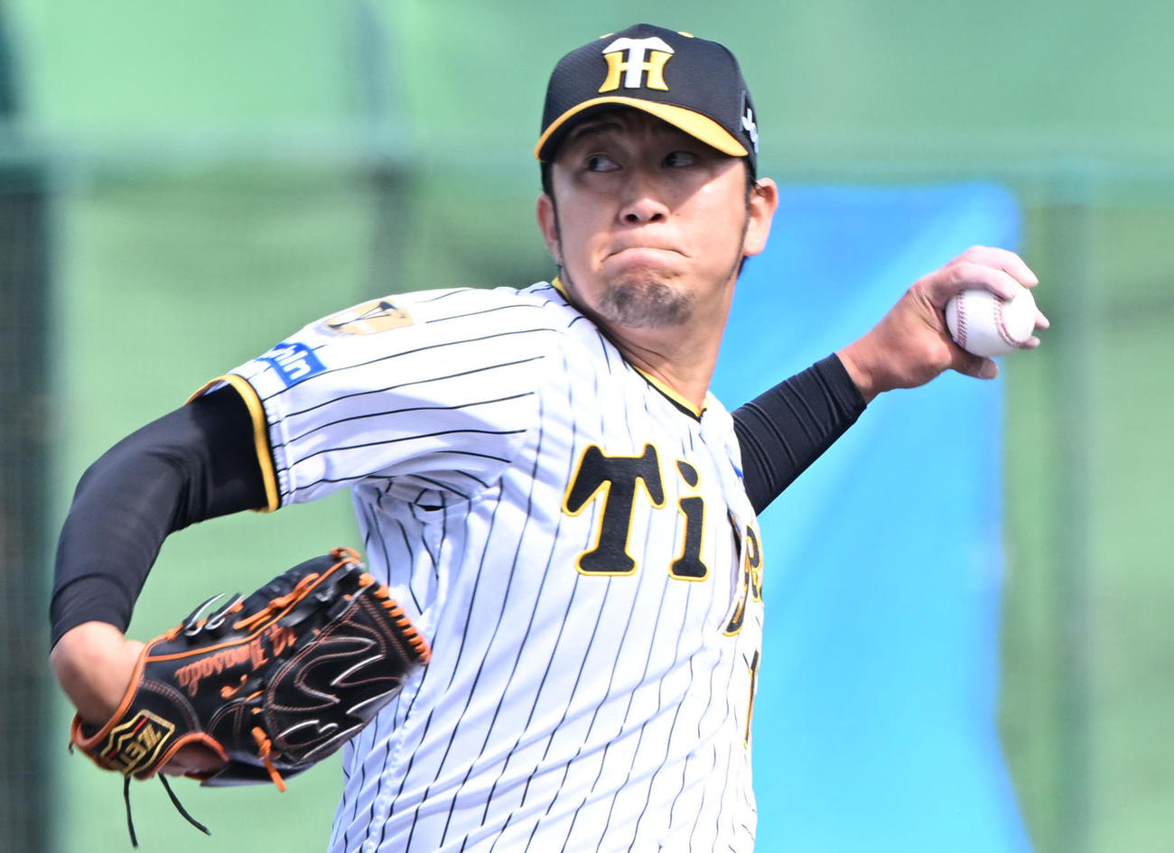 阪神岩貞祐太（2024年5月25日撮影）