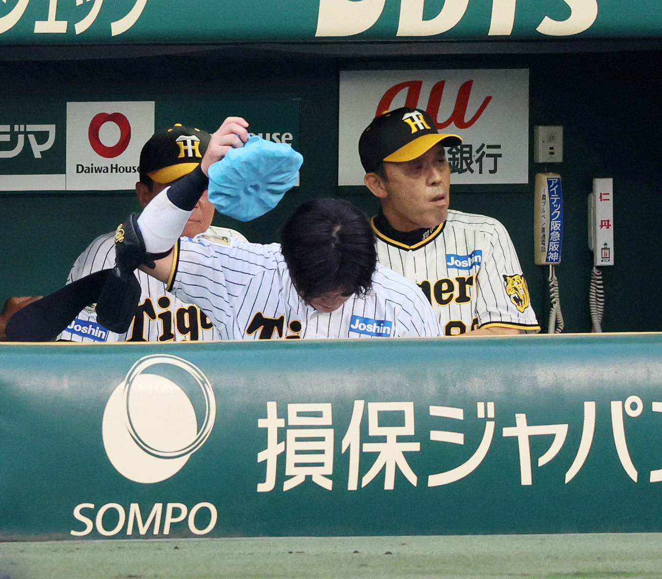 阪神対巨人　2回裏阪神無死、ベンチで暑さ対策用の氷のうを首筋へ乗せる前川（撮影・加藤哉）