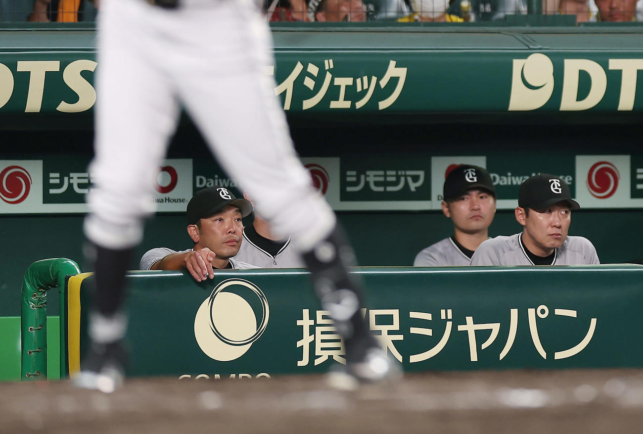 阪神対巨人　9回表、厳しい表情で試合を見つめる巨人阿部監督（左）ら（撮影・前田充）