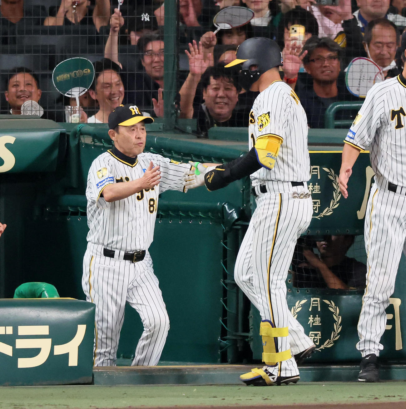 阪神対巨人　8回裏阪神無死、岡田監督は左越えソロ本塁打を放った森下（右）を出迎える（撮影・加藤哉）