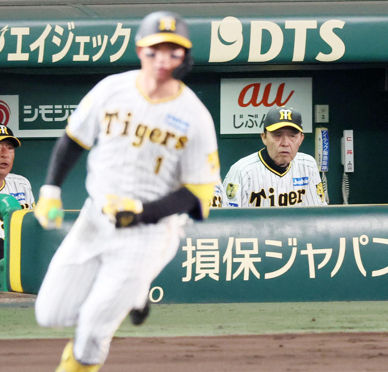 阪神対巨人　8回裏阪神無死、森下は左越えソロ本塁打を放つ8回裏阪神無死、岡田監督は左越えソロ本塁打を放った森下の打球を見つめる（撮影・加藤哉）