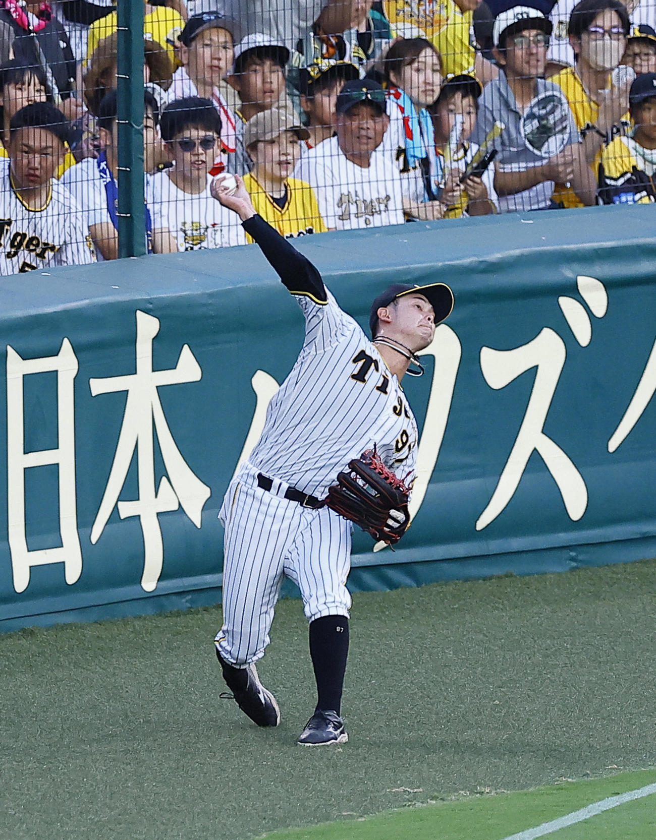 阪神対巨人　2回表巨人1死、左前打で二塁を狙った泉口を刺す野口（撮影・藤尾明華）