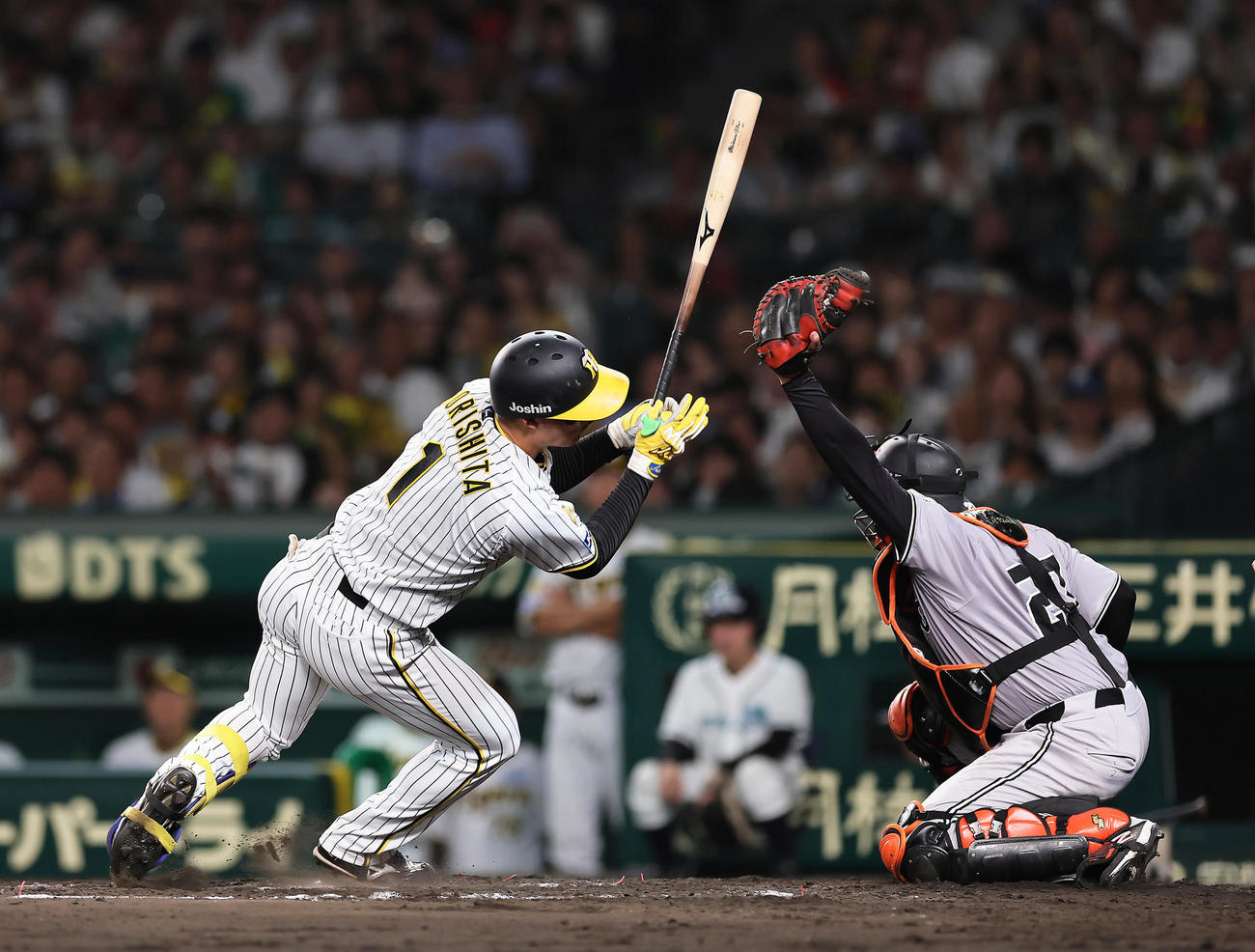阪神隊巨人　7回裏阪神2死二、三塁、森下は平内龍太の頭部付近への投球を倒れながらよける（撮影・足立雅史）