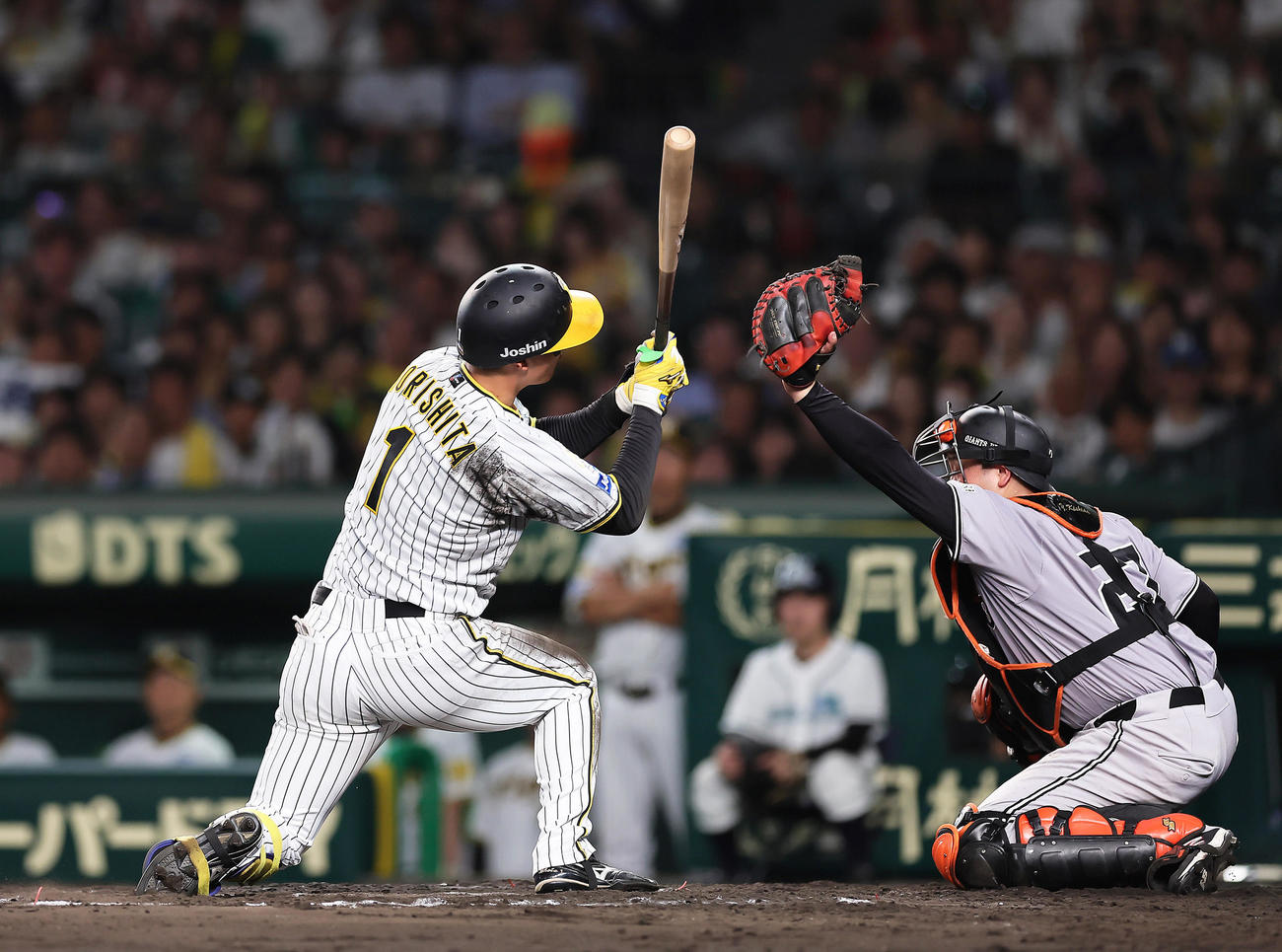 阪神隊巨人　7回裏阪神2死二、三塁、森下は平内の連続での頭部付近への投球を倒れながらよける（撮影・足立雅史）