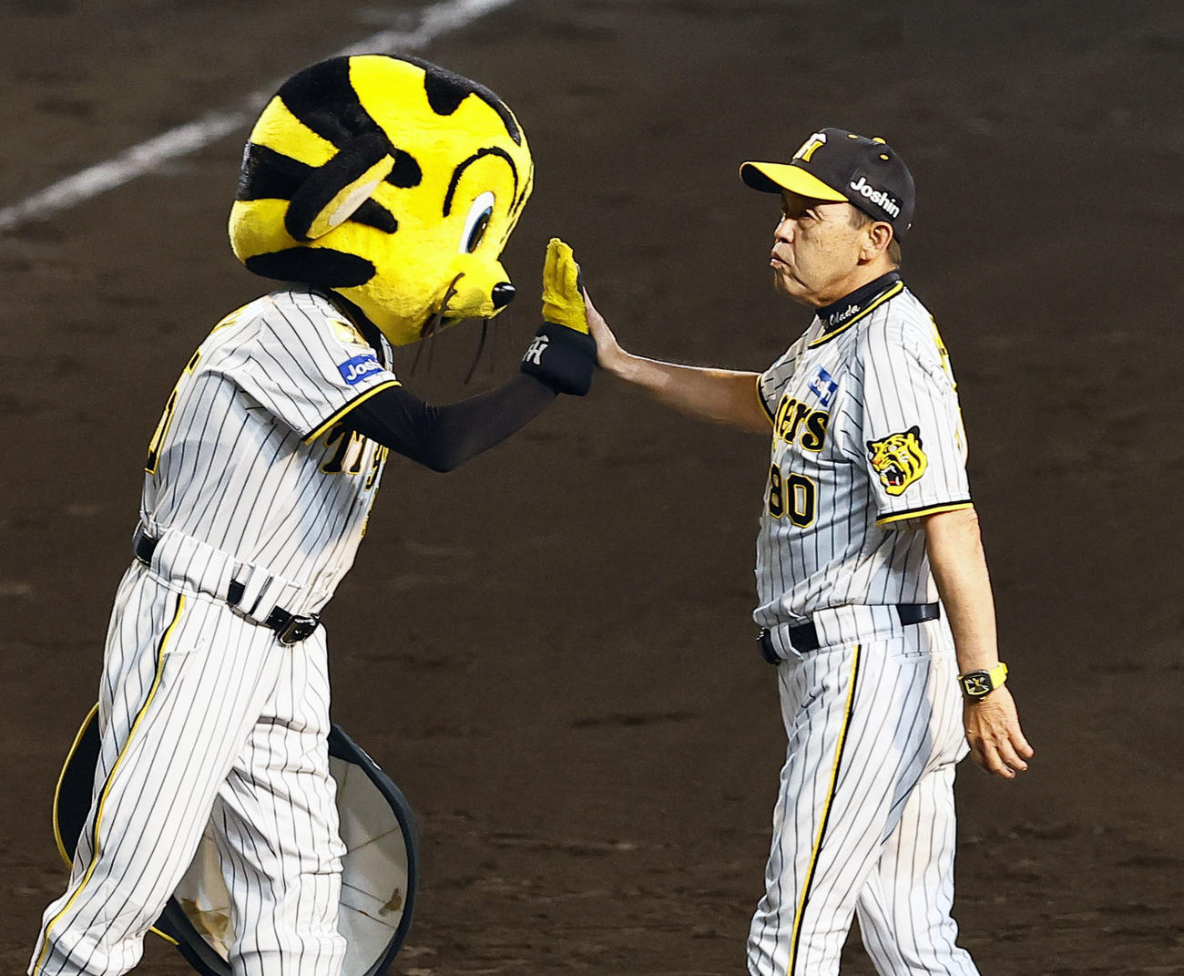 阪神対巨人　巨人に連勝し、トラッキーとタッチを交わす阪神岡田監督（撮影・藤尾明華）