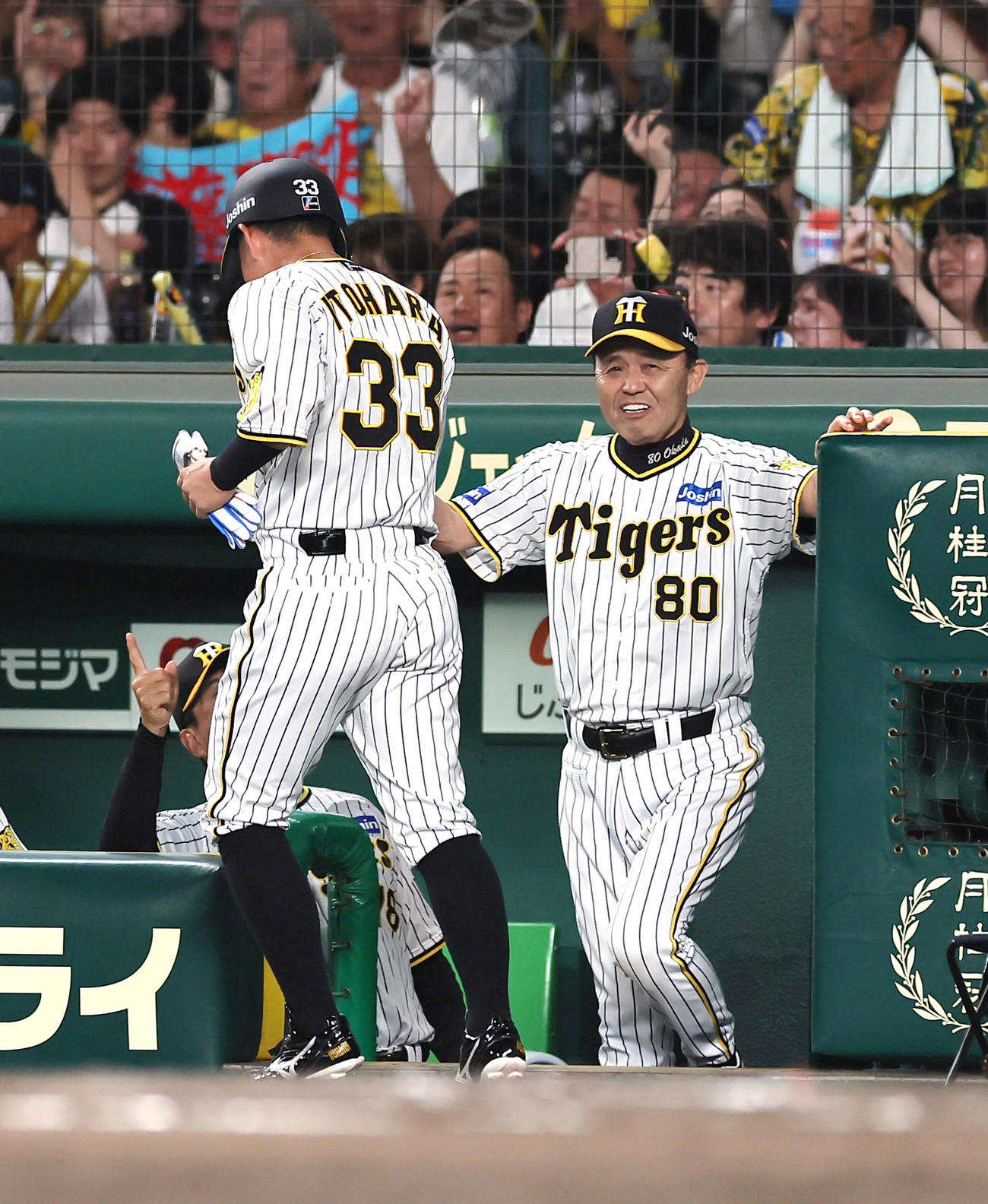 阪神隊巨人　6回裏阪神2死二、三塁、佐藤輝の右前適時打で生還した糸原（左）を笑顔で迎える岡田監督（撮影・足立雅史）