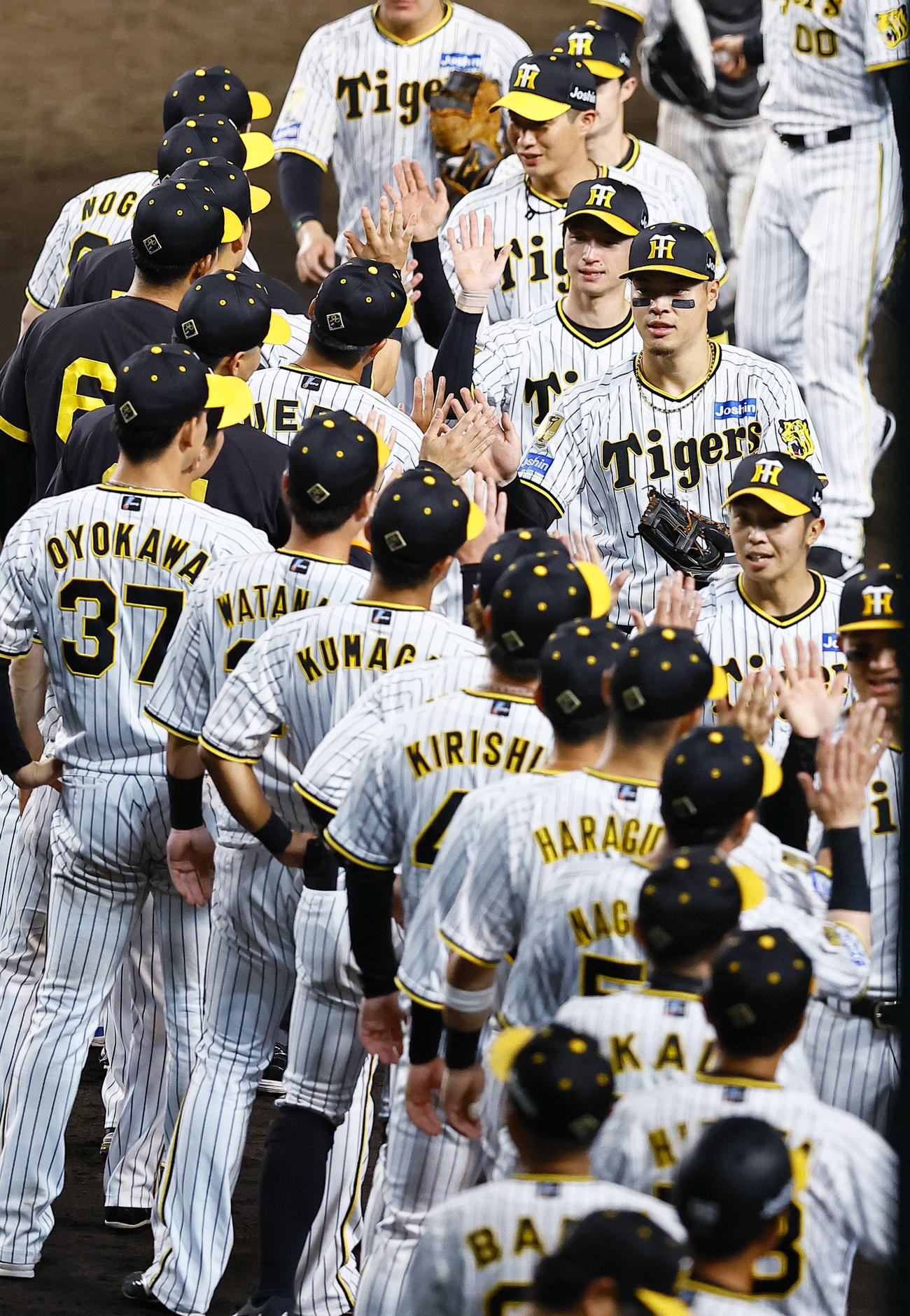 阪神対巨人　巨人に連勝し、タッチを交わす佐藤輝（中央右）ら阪神ナイン（撮影・藤尾明華）