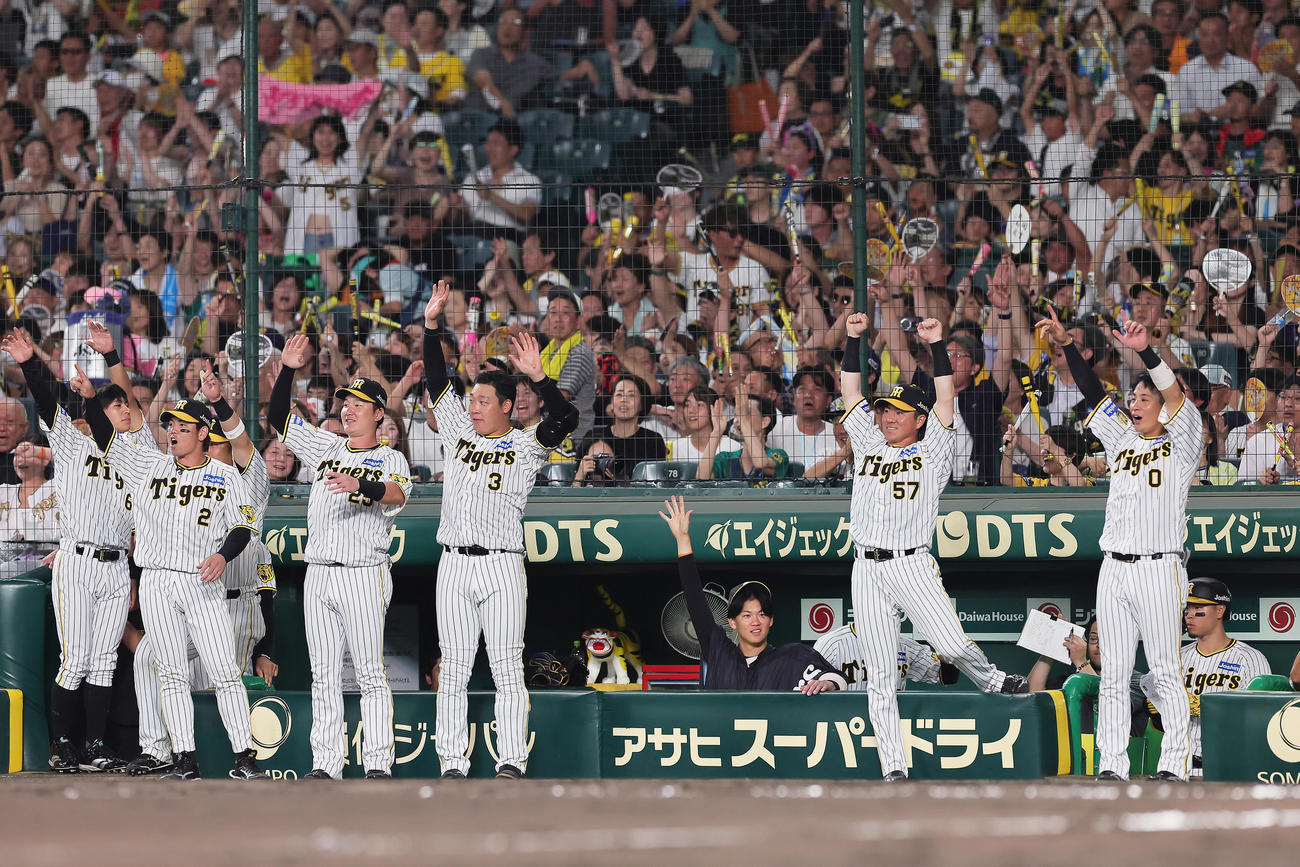 阪神隊巨人　6回裏阪神1死一、二塁、中野の適時二塁打を喜ぶナインら。後方中央は及川（撮影・足立雅史）