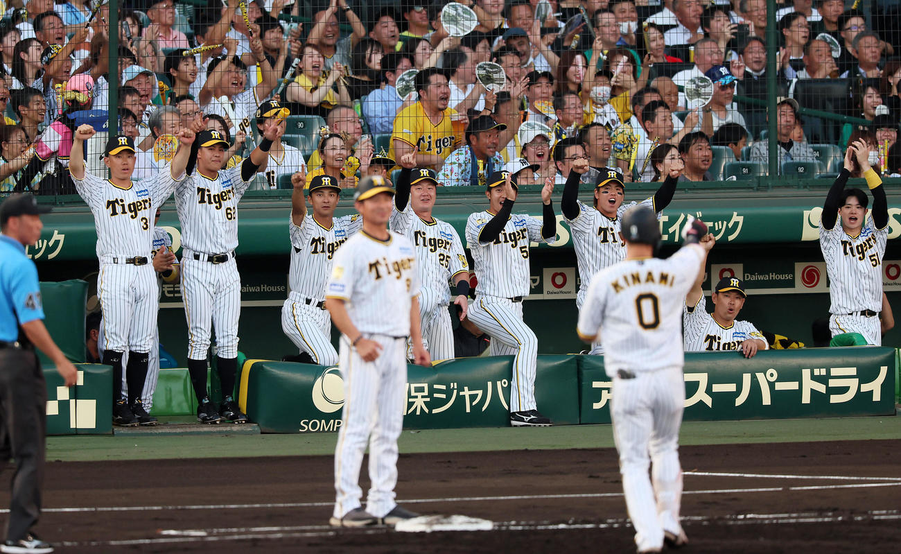 阪神対巨人　1回裏阪神2死満塁、木浪の中適時打に盛り上がるベンチのナイン（撮影・加藤哉）