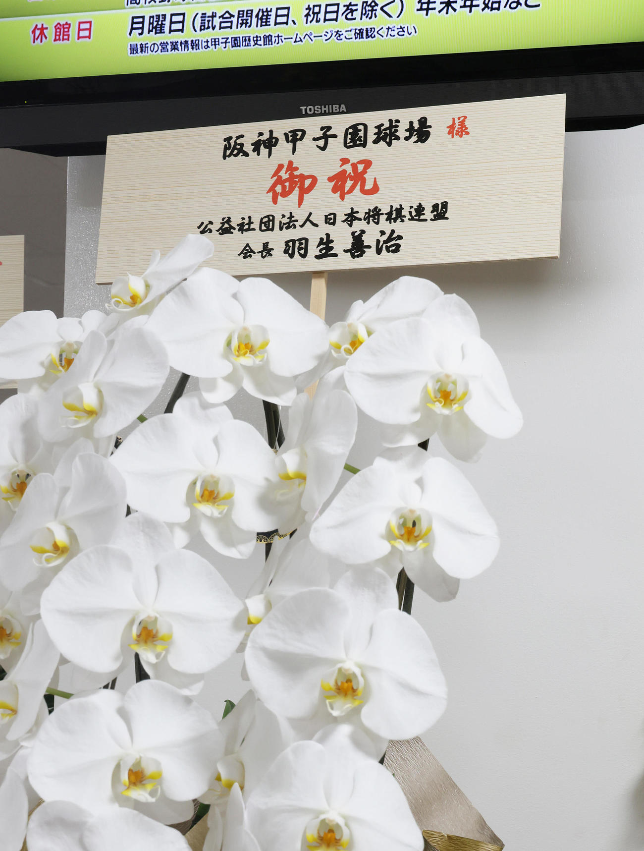 甲子園球場に飾られた、日本将棋連盟羽生善治会長からのお祝いの花（撮影・足立雅史）