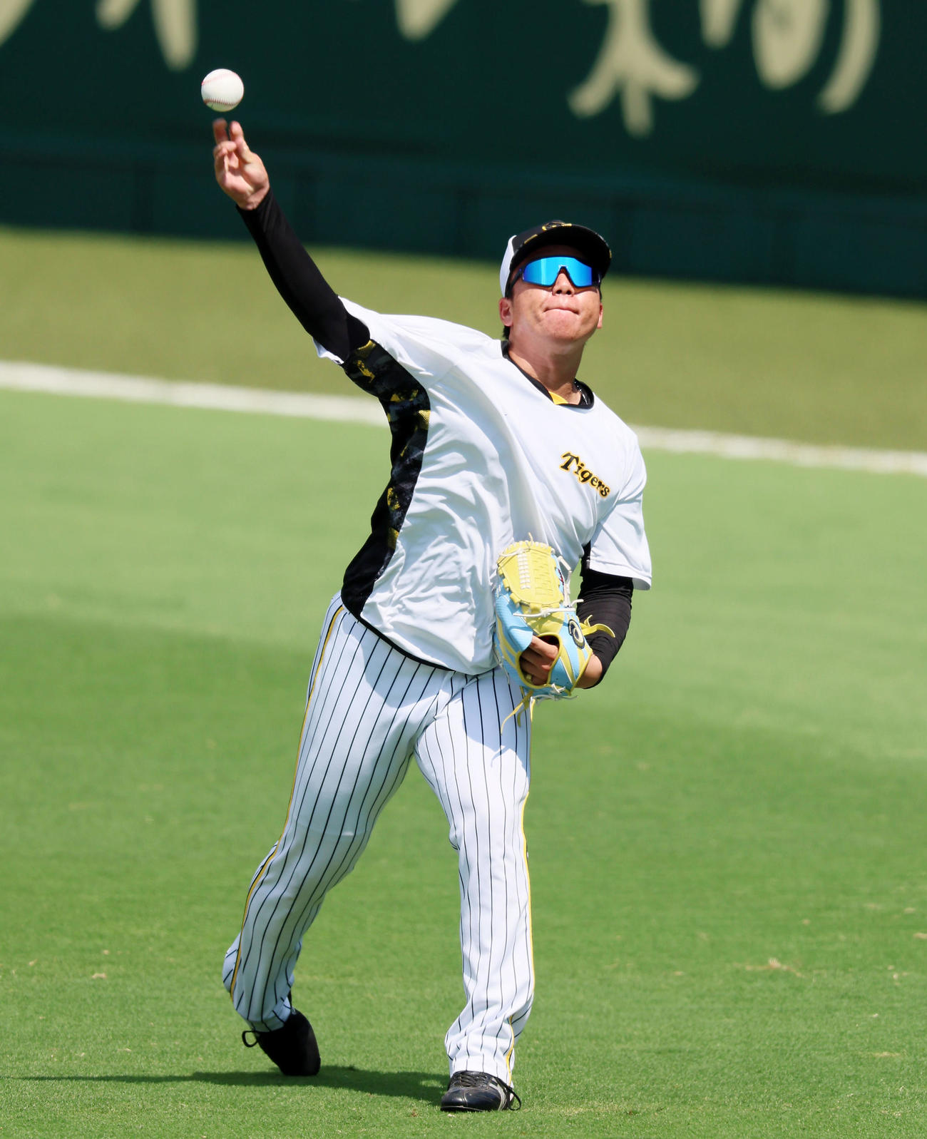 阪神対巨人　キャッチボールで招請する村上（撮影・加藤哉）