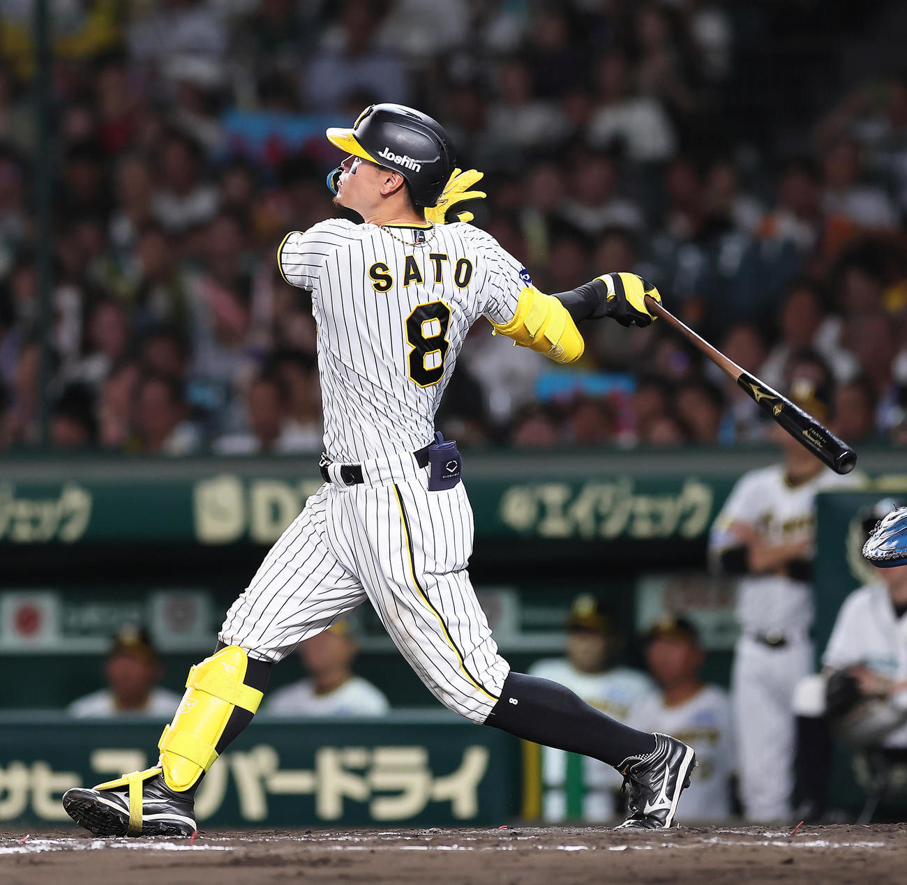 阪神対巨人　8回裏阪神1死、佐藤輝は右越え本塁打を放つ（撮影・足立雅史）