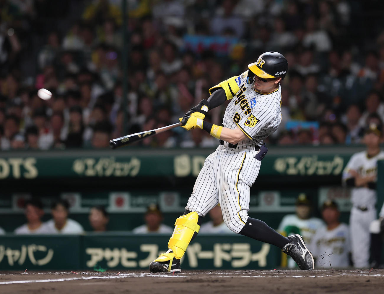 阪神対巨人　8回裏阪神1死、佐藤輝は右越え本塁打を放つ（撮影・足立雅史）