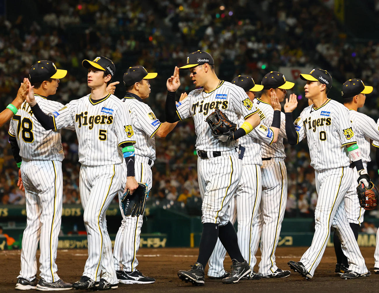 阪神対巨人　100周年を勝利で飾りタッチを交わす岡田監督と佐藤輝（中央）ら阪神ナインン（撮影・藤尾明華）