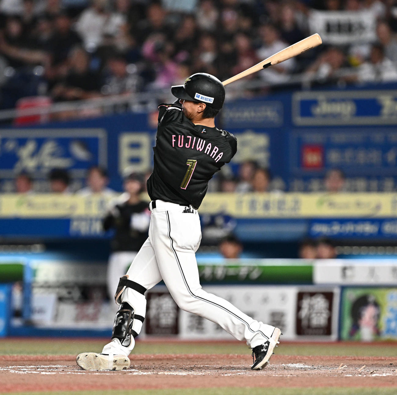 ロッテ対西武　5回裏ロッテ無死、藤原は右越えソロ本塁打を放つ（撮影・滝沢徹郎）