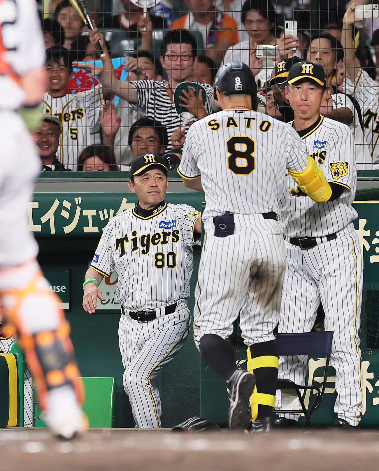 阪神対巨人　8回裏阪神1死、右越え本塁打を放った佐藤輝（中央）をタッチで迎える岡田監督（左）（撮影・足立雅史）