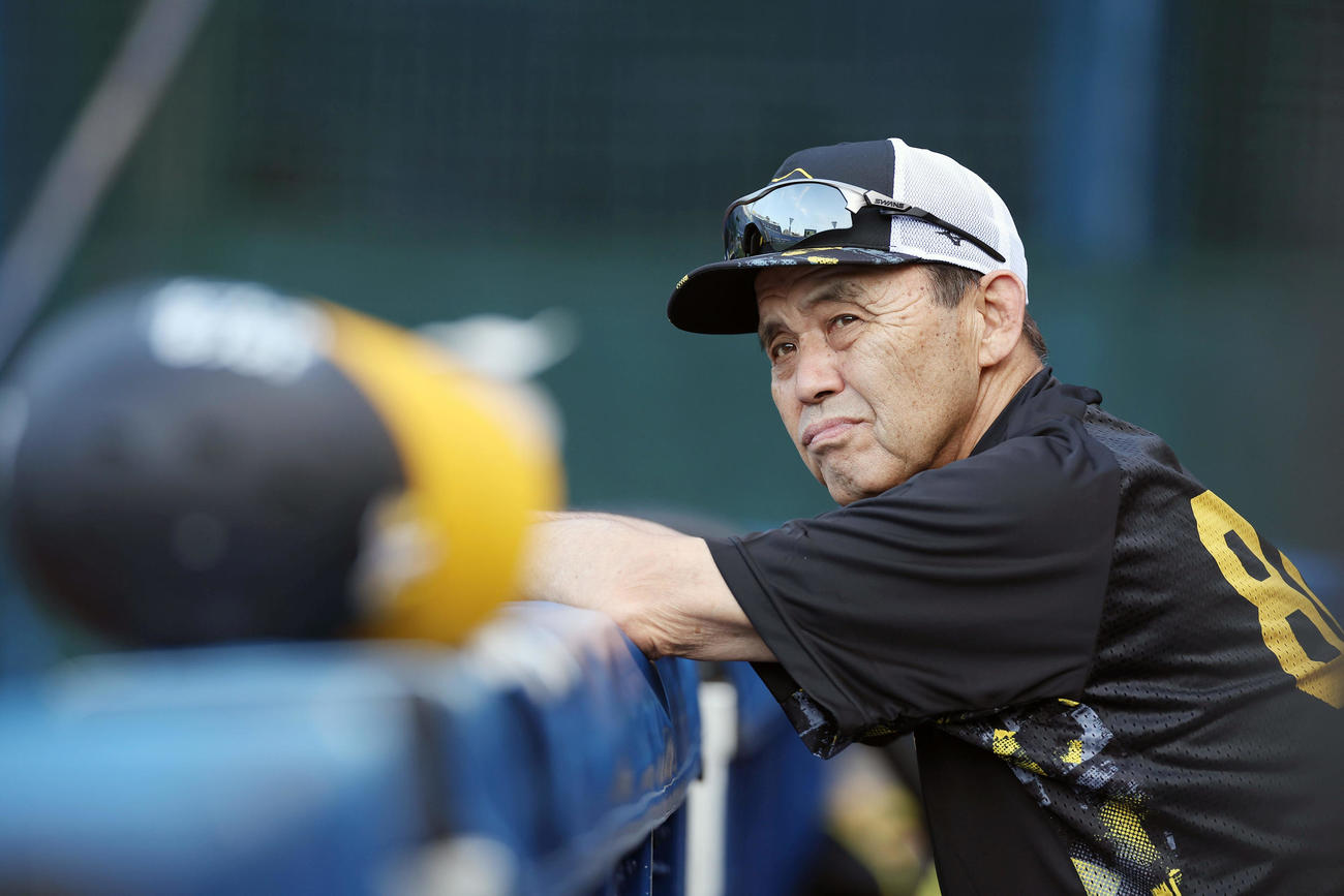 DeNA対阪神　試合前練習を見守る阪神岡田監督（撮影・前田充）