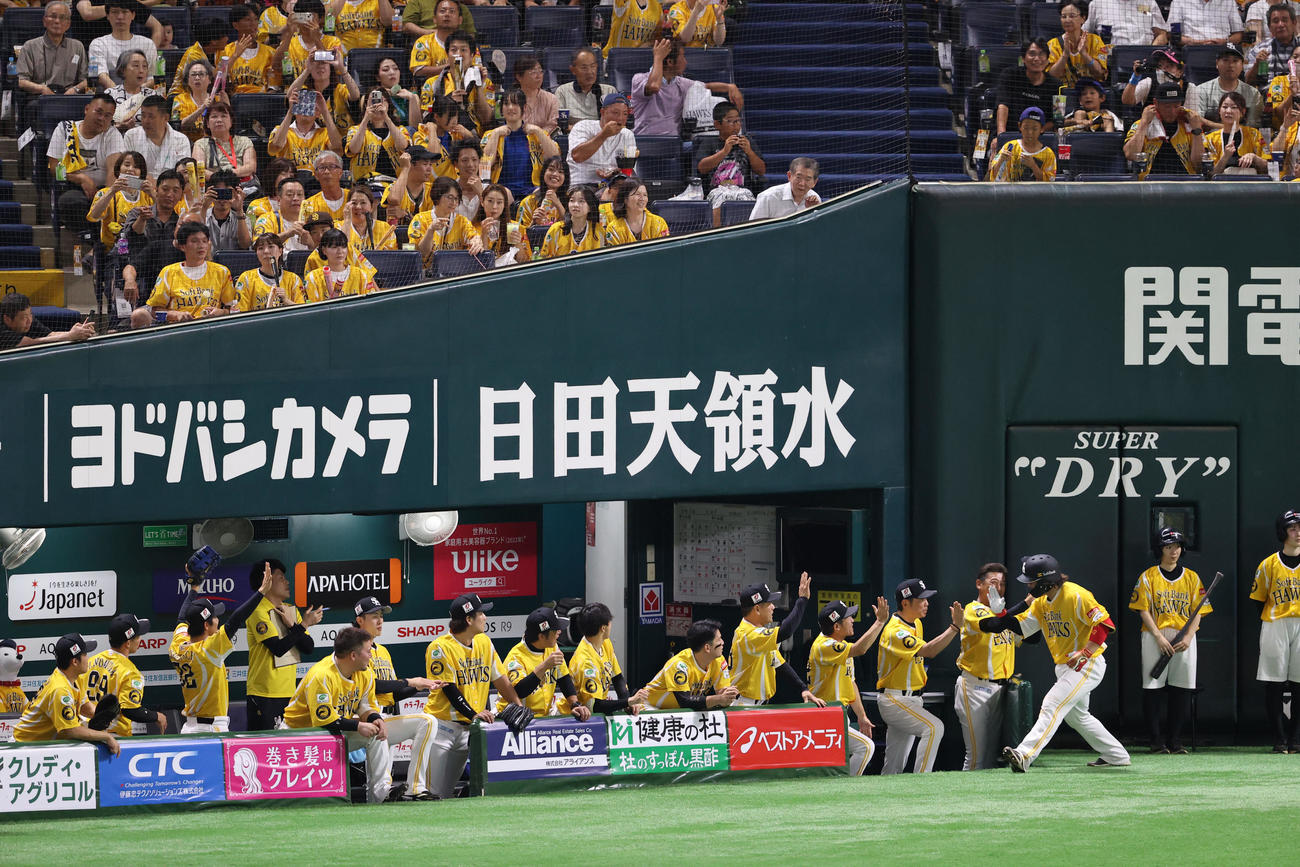 ソフトバンク対日本ハム　4回裏ソフトバンク無死、甲斐は左中間に本塁打を放ちベンチのナインとハイタッチ（撮影・梅根麻紀）