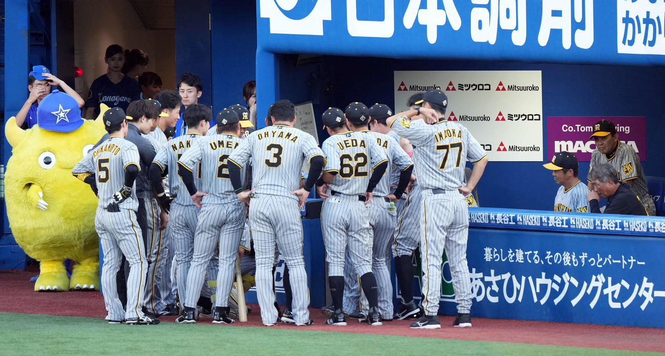 DeNA対阪神　試合前、円陣を組む選手に視線を送る阪神岡田彰布監督（右端）（撮影・たえ見朱実）