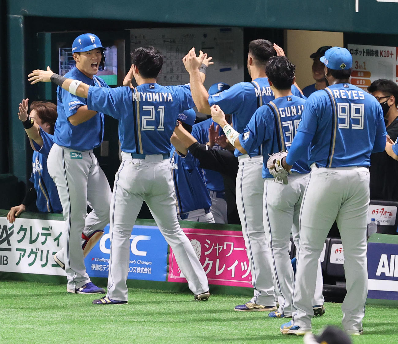 ソフトバンク対日本ハム　7回表日本ハム2死一塁、野村は中越えに逆転となる2点本塁打を放ちベンチのナインとハイタッチ（撮影・梅根麻紀）
