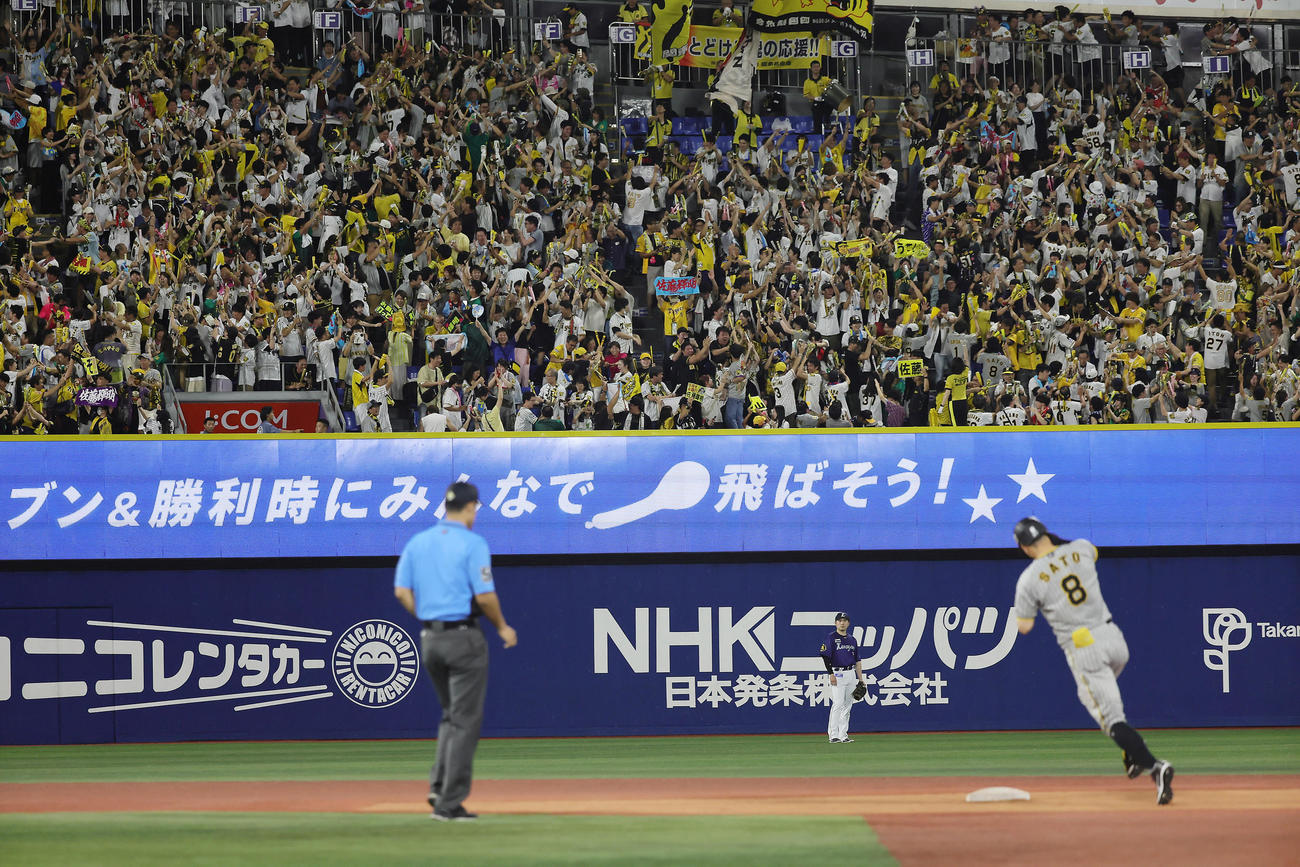 DeNA対阪神　5回表阪神1死一、二塁、佐藤輝の3点本塁打を喜ぶファン（撮影・足立雅史）