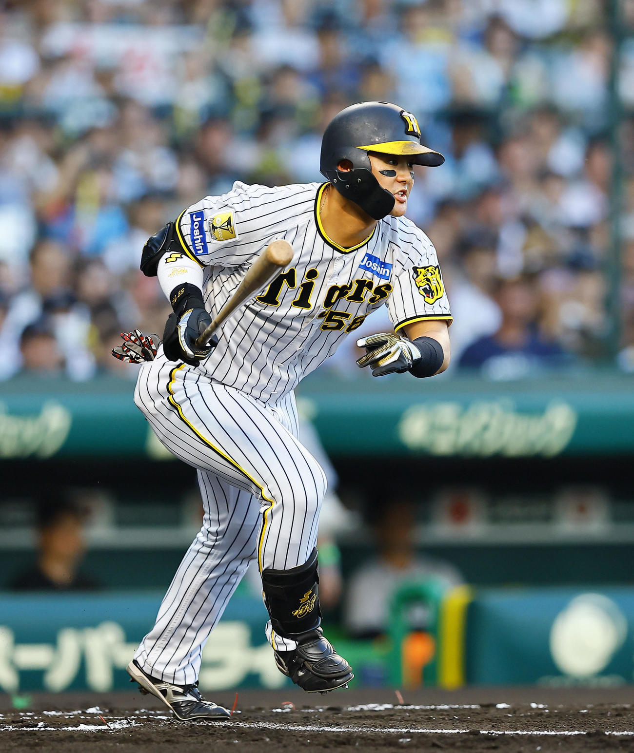 阪神前川右京（2024年8月1日撮影）