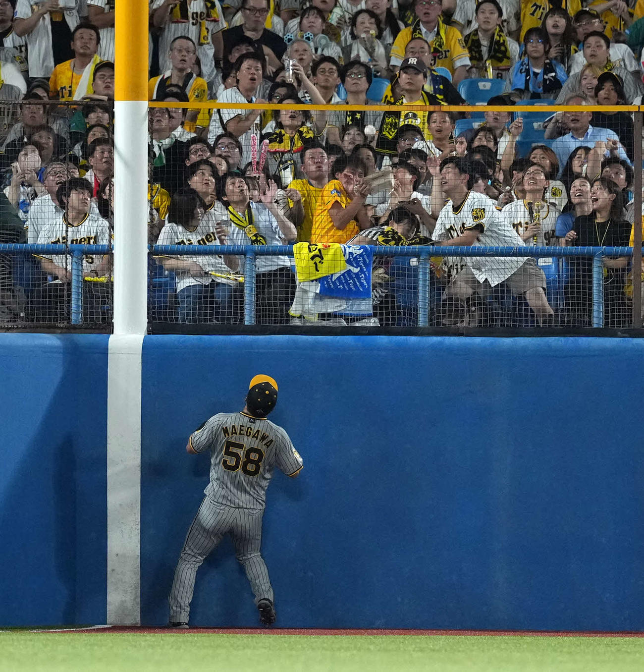 ヤクルト対阪神　4回裏ヤクルト無死一、二塁、山田の打球を見送る左翼手前川（撮影・たえ見朱実）