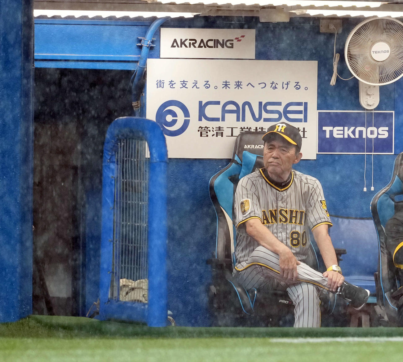 ヤクルト対阪神　5回裏、降雨のため中断しベンチで再開を待つ阪神岡田監督（撮影・たえ見朱実）