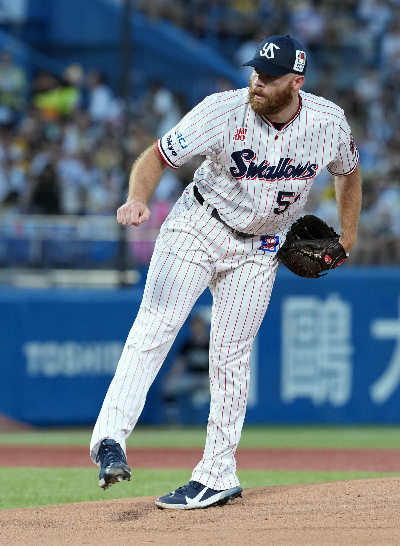 ヤクルト対阪神　ヤクルトの先発サイスニード（撮影・たえ見朱実）