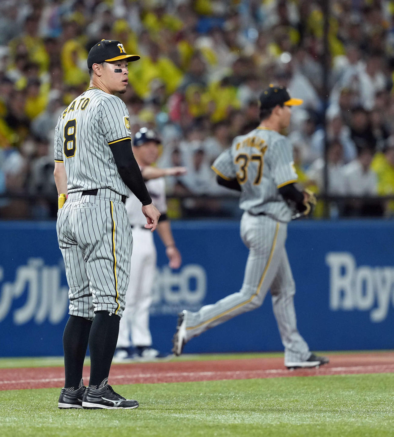 ヤクルト対阪神　2回裏ヤクルト1死一、二塁、サイスニードの打球を捕球した三塁手佐藤輝だが、一塁へ悪送球する（撮影・たえ見朱実）