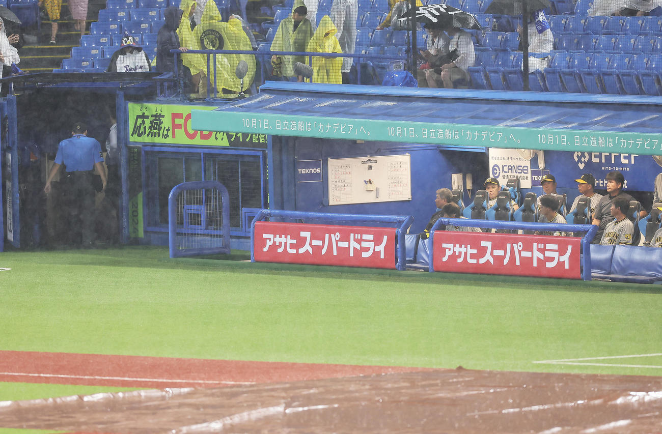 ヤクルト対阪神　ヤクルトに降雨コールド負けし、ぶぜんとした表情を見せる阪神岡田監督（左から2人目）（撮影・足立雅史）